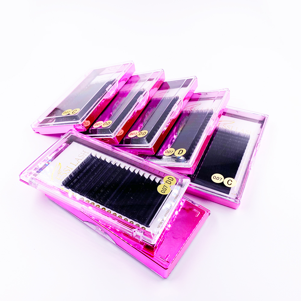 US Hot Selling Russian 0.03 0.06 DD Mage Volume Fan Fast Fan Dark Eyelash Extension Trays Mink Korean PBT Silk Private Label